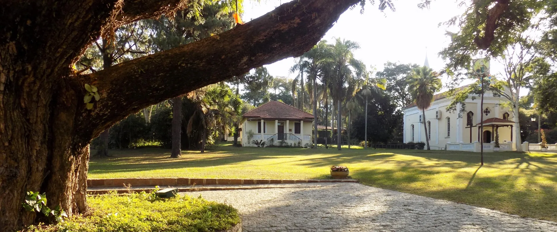 Colônia Suíça de Helvetia